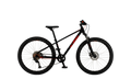 Wild Speed Disc 20
