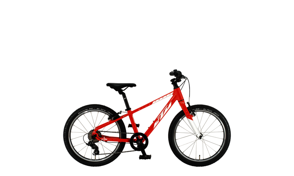 Wild Cross 20
