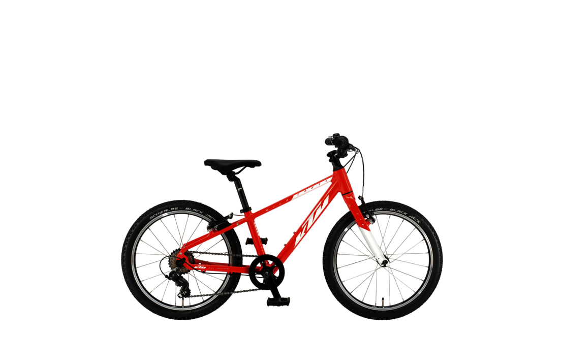 Wild Cross 20