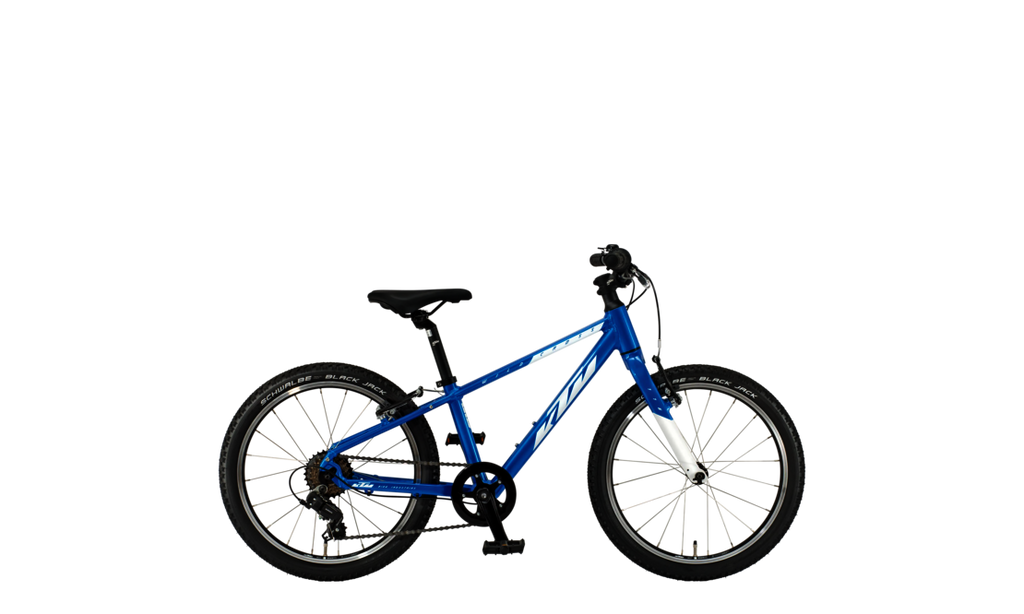 Wild Cross 20